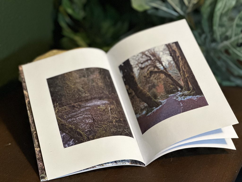 The Quiet Land Zine