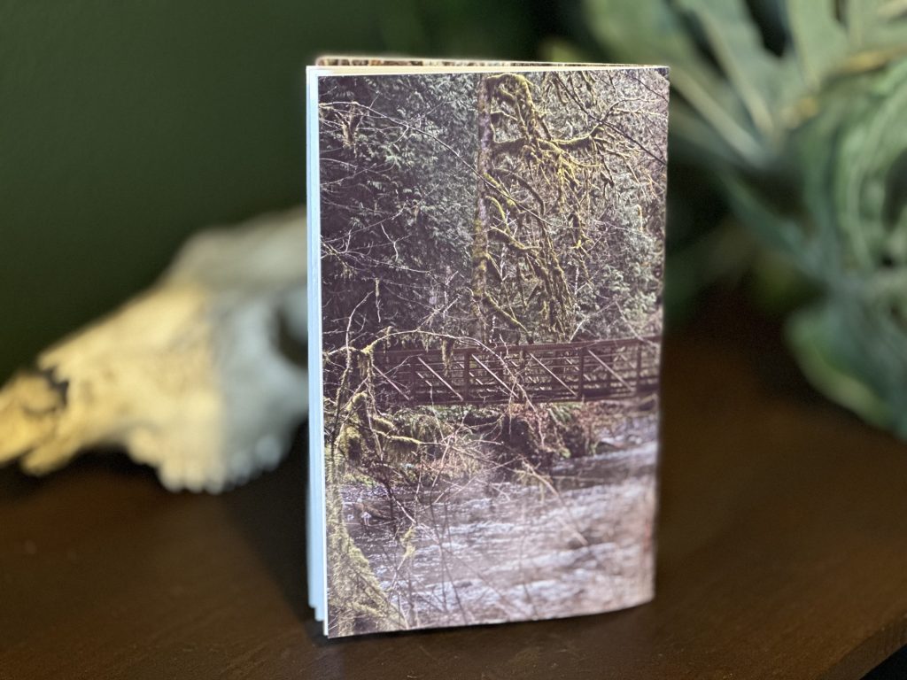 The Quiet Land Zine
